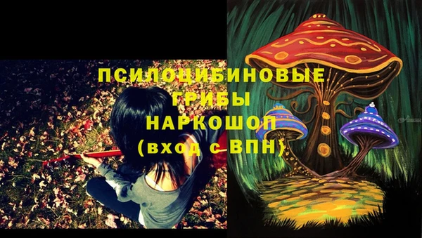 амф Алапаевск