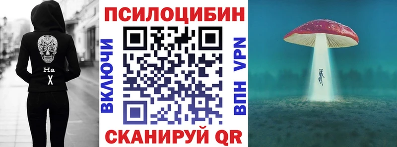 Псилоцибиновые грибы GOLDEN TEACHER Глазов