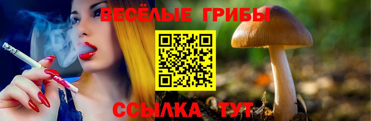 Псилоцибиновые грибы мухоморы  Вход с VPN  закладка  Глазов 